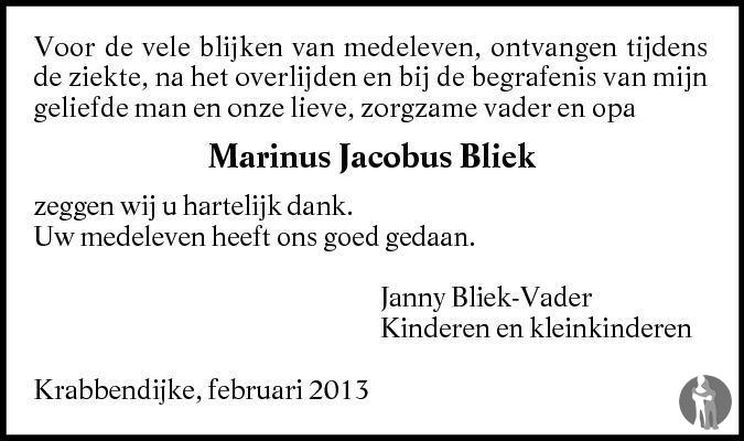 Marinus Jacobus Bliek Overlijdensbericht En Condoleances