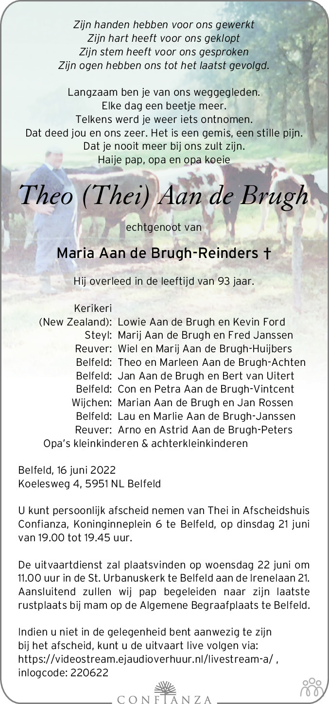 Overlijdensbericht van Theo (Thei) Aan de Brugh in De Limburger