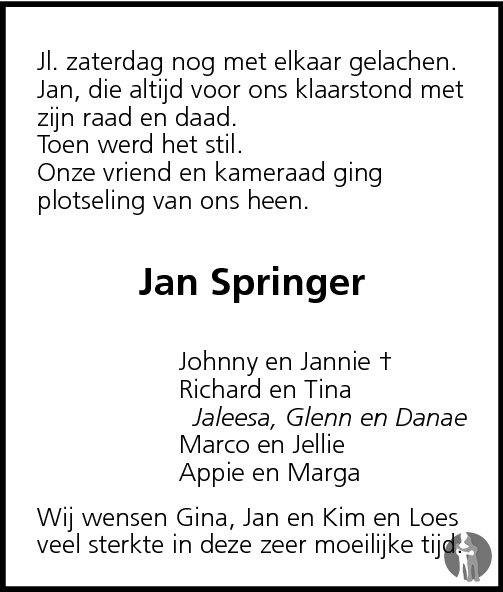 Cowboys for Christmas by Jan Springer