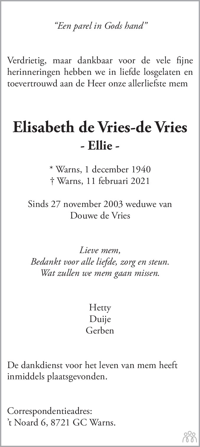Overlijdensbericht van Elisabeth de Vries-de Vries in Bolswards Nieuwsblad